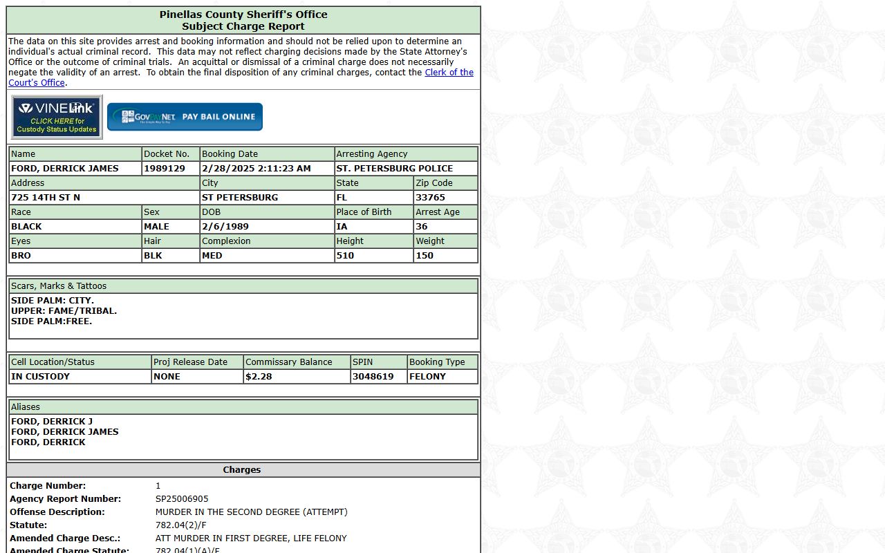 Pinellas County jail population subject charge report sample from PCSO
